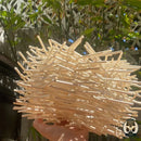 Lampe de chevet bambou