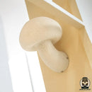 Lampe de chevet enfant champignon