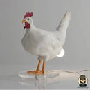 Lampe de chevet poule