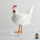 Lampe de chevet poule