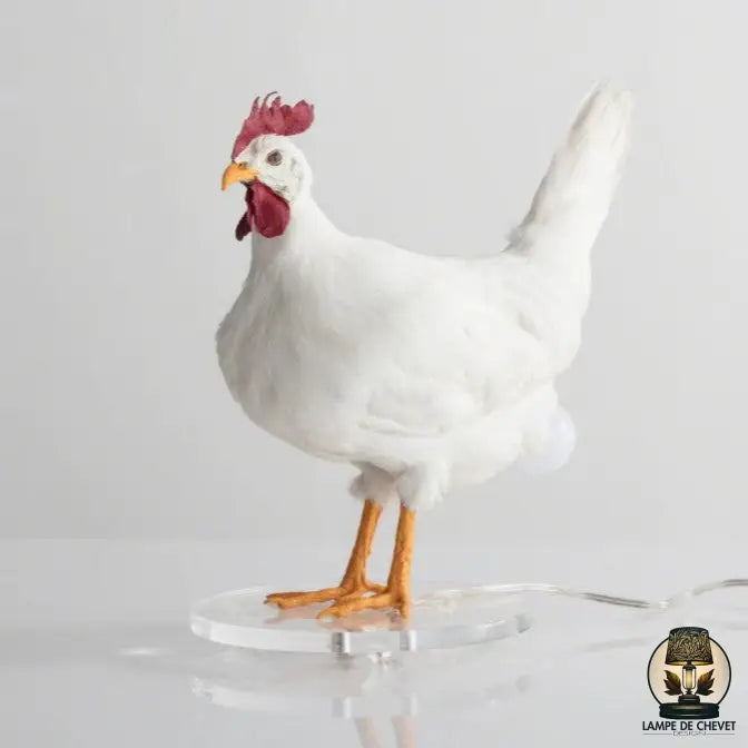 Lampe de chevet poule